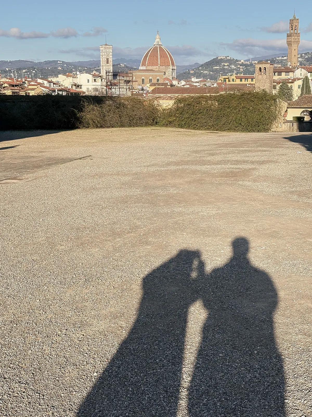 Vista elevada dos jardins geométricos