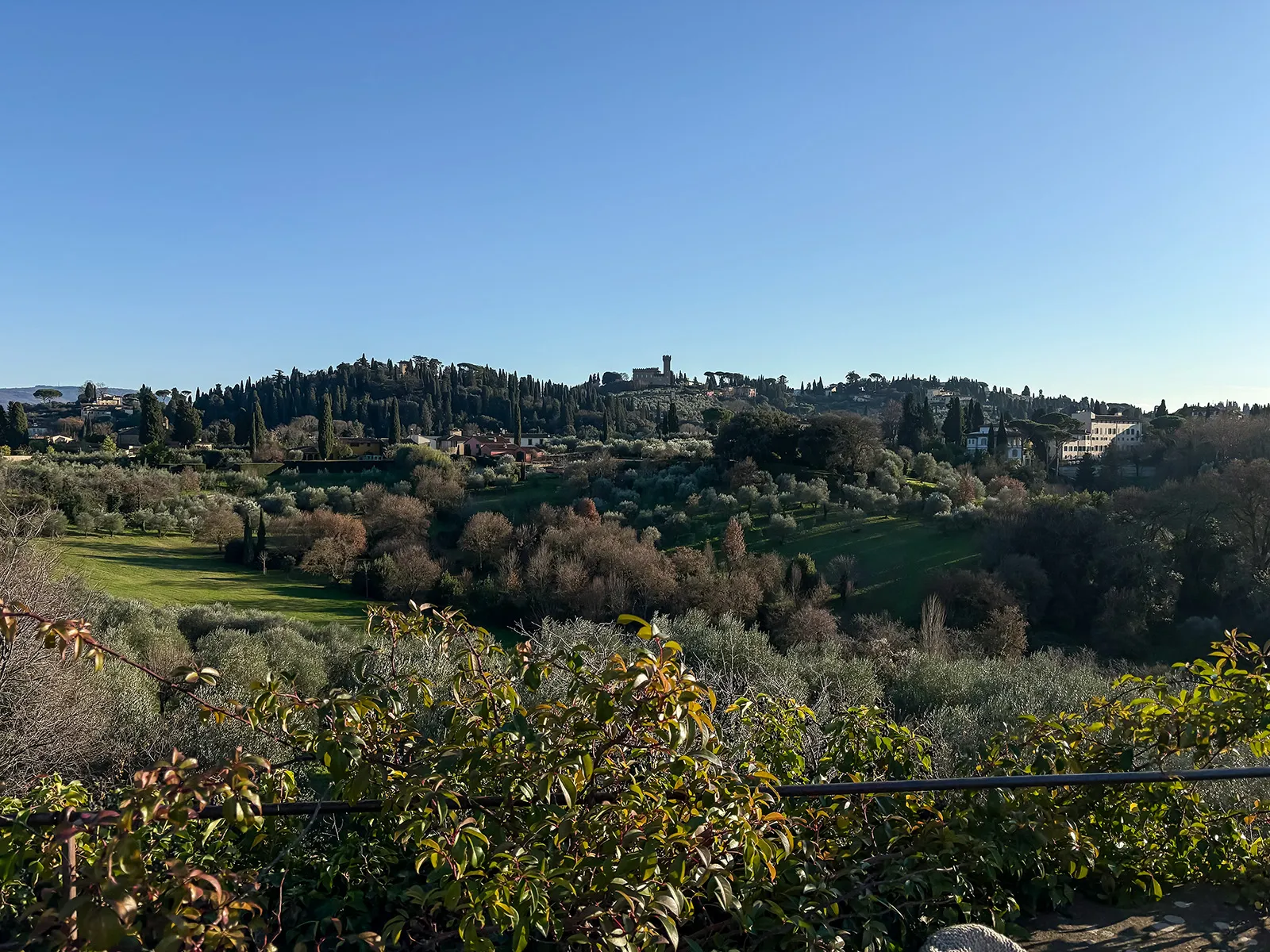 Alamedas e ciprestes