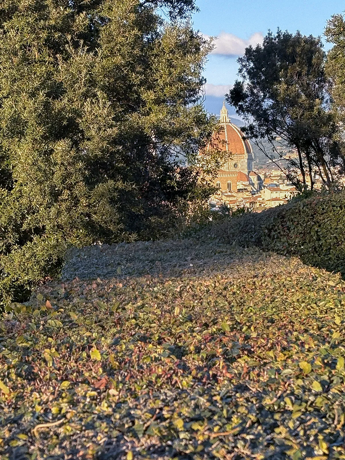 Firenze vista dos jardins ao entardecer